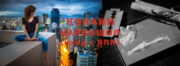 стаф Алзамай