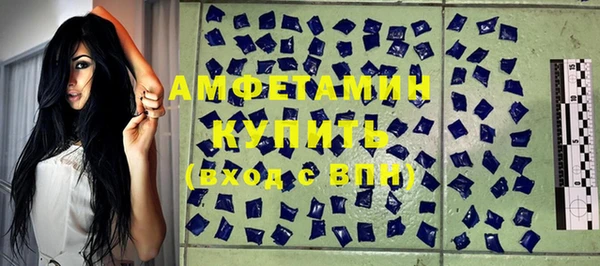 стаф Алзамай