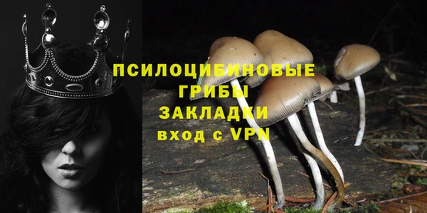 сатива Алексин