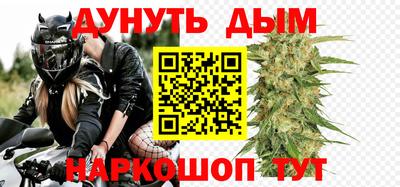прущие грибы Заводоуковск
